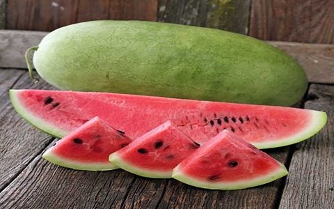 تصویر 4 از قیمت خرید هندوانه سفید میکادو با فروش عمده